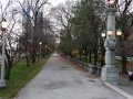 DSC03705