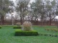 DSC03715