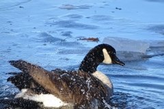 DSC04999