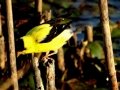 DSC09149