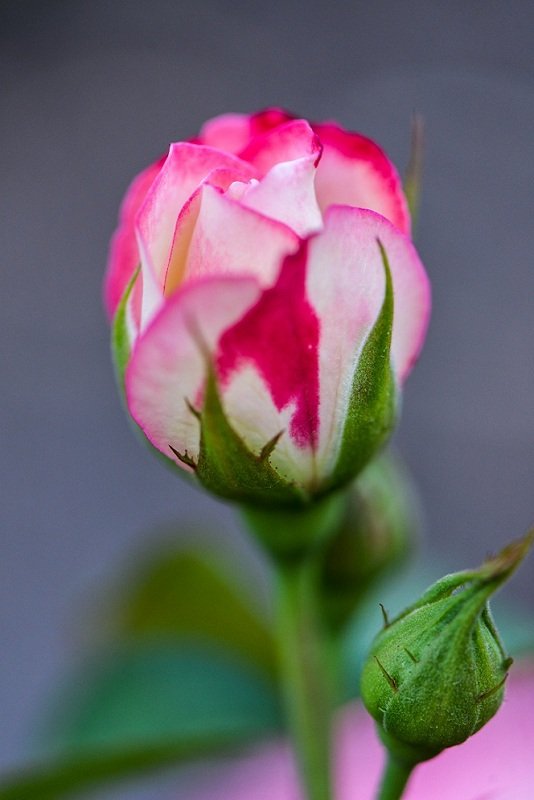 20130714-DSC_7930
