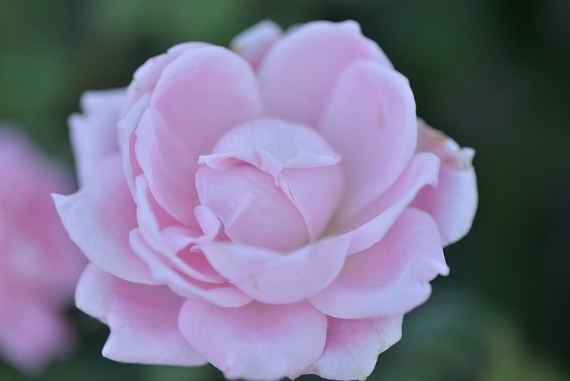 DSC_7921