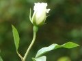 DSC05918