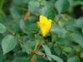 DSC05920