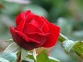 DSC05928