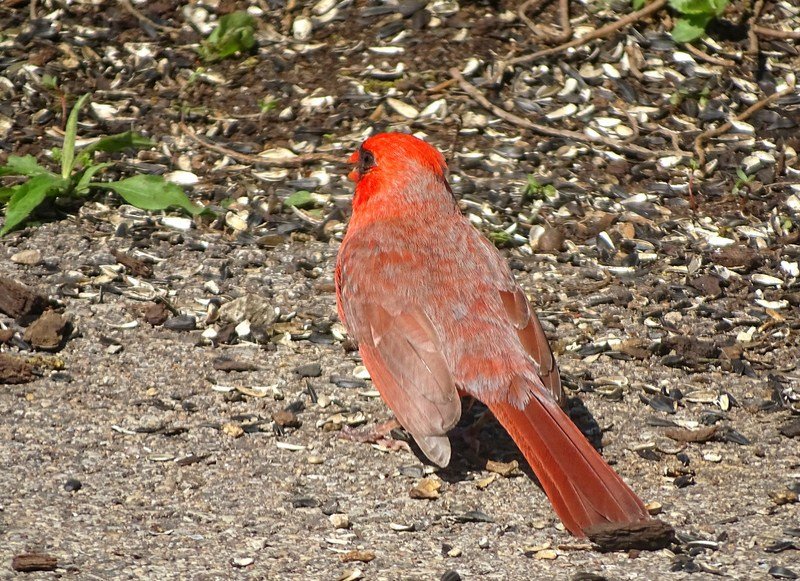 DSC00189
