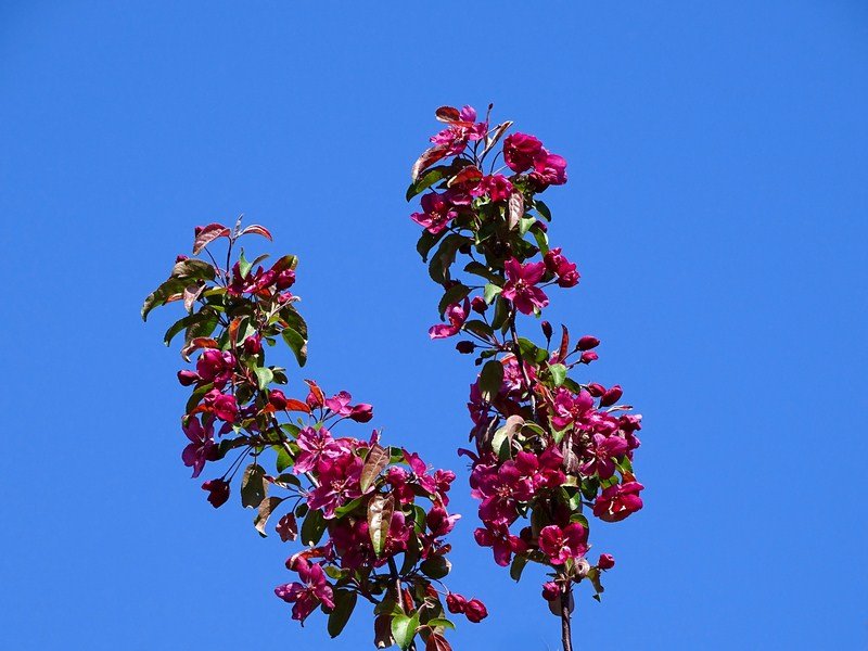 DSC00197