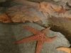dsc04576s