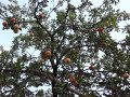 20160825_143851