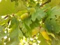 20160825_144239