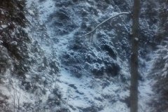 IMG_20160119_111223