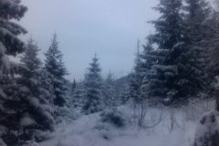 IMG_20160120_130047