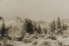 IMG_20160120_141501
