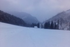 IMG_20160121_153513