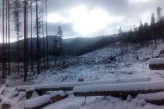 IMG_20160122_115505