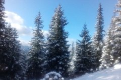 IMG_20160122_130515