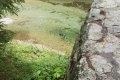 IMG_20210817_124245