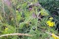 IMG_20210818_112747