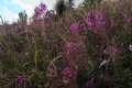 IMG_20210818_112755