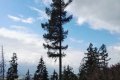 IMG_20210818_113151