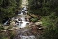 IMG_20210819_115437