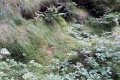 IMG_20210819_122656