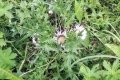 IMG_20210820_135240