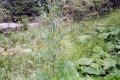 IMG_20210820_140505