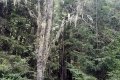 IMG_20210820_141536