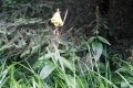 IMG_20210820_143332