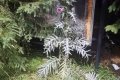 IMG_20210821_113847
