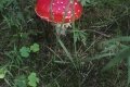 IMG_20210821_114720