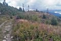 IMG_20210821_115819