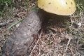 IMG_20210821_123343