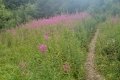 IMG_20210821_132828