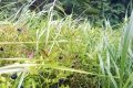 IMG_20210821_133036