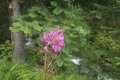 IMG_20210821_135239