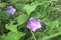 IMG_20210821_135256