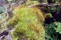 IMG_20210821_142324