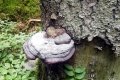 IMG_20210821_142951