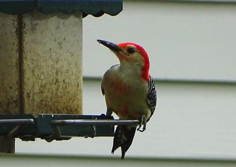 DSC00576