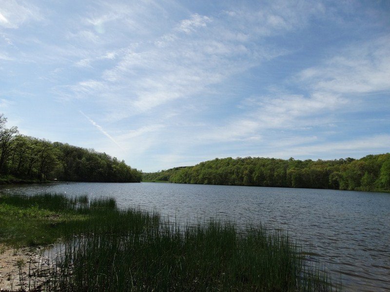 DSC05575