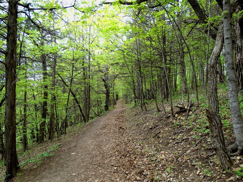 DSC05661