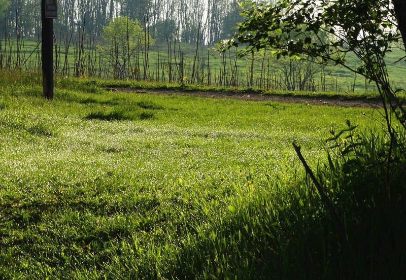 DSC05699