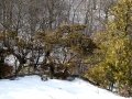 dsc01448