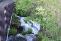 DSC09195