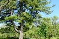 DSCN4479