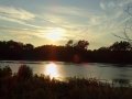 DSC09229
