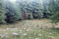 IMG20240921181507