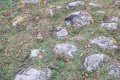 IMG20240921181550